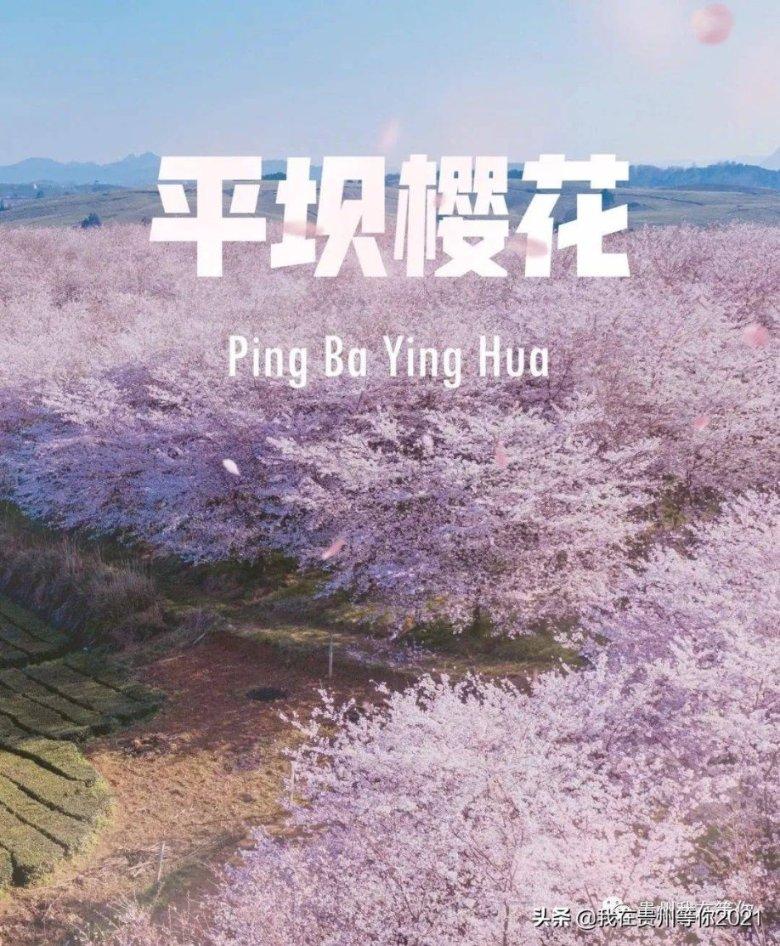寻梦环游记找吉他